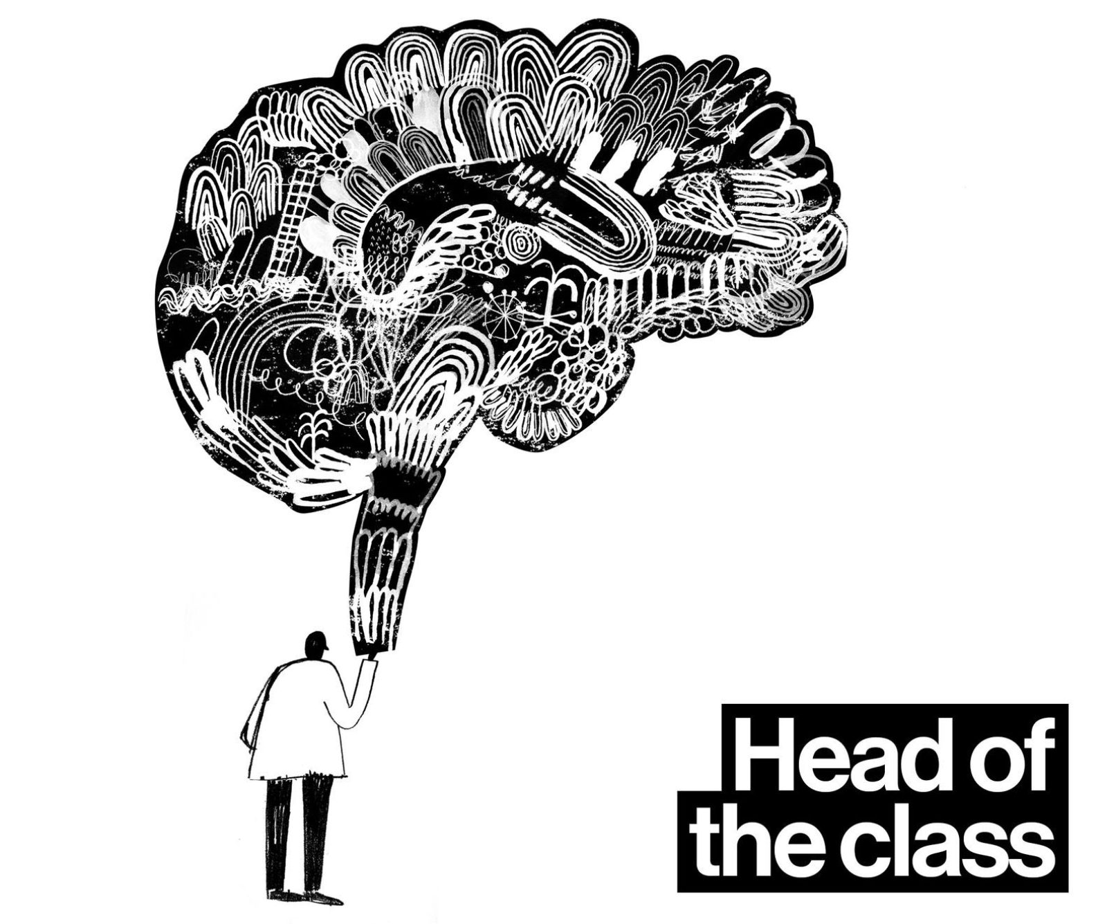 Head of the class The Long and Short