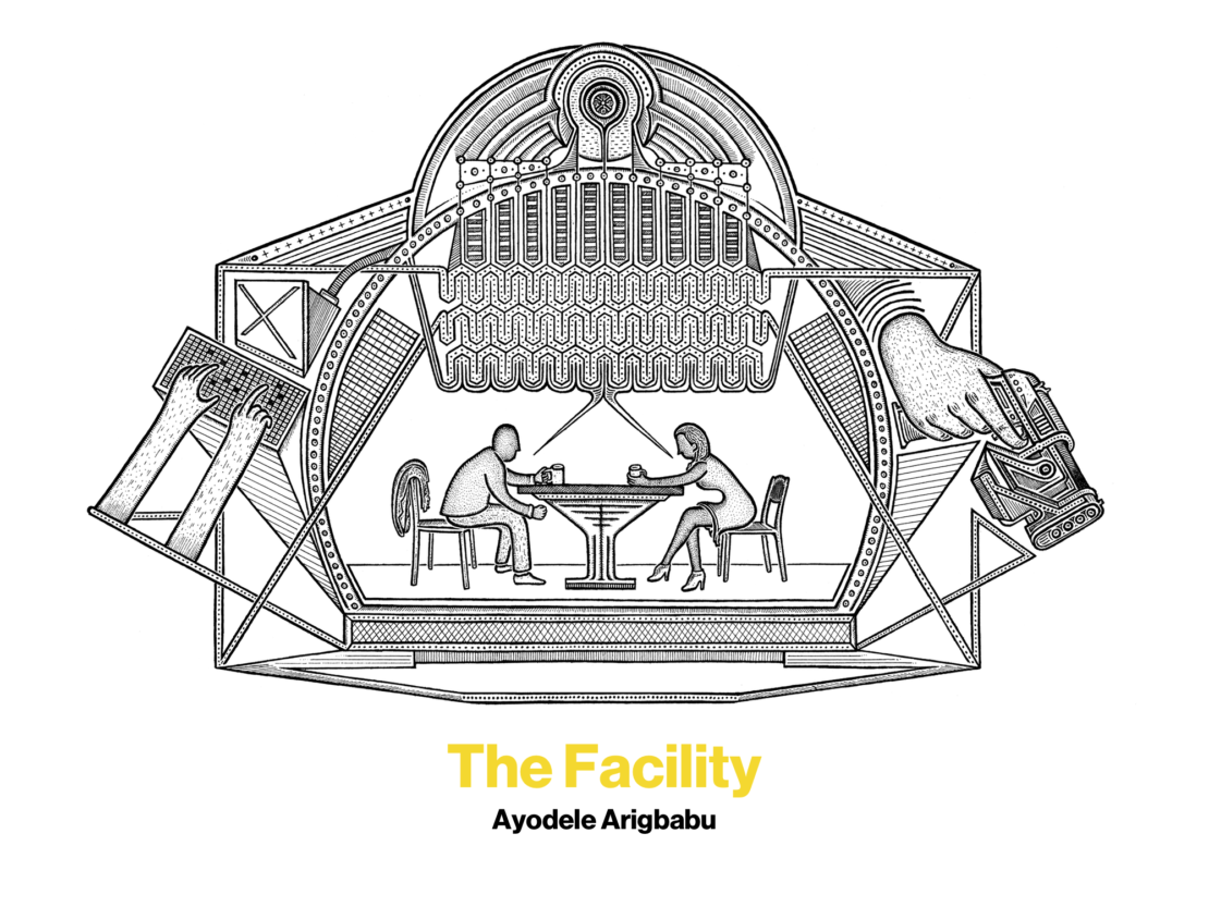 The Facility, by Ayodele Arigbabu